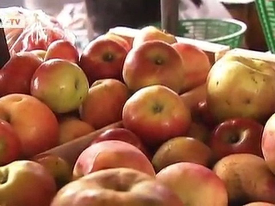 Crepes with caramelized apples | euromaxx à la carte