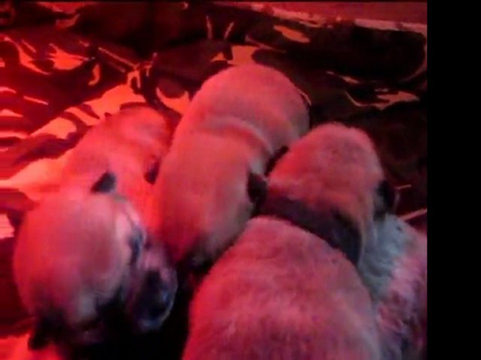 Wakimi épisode 2 No Miyajima