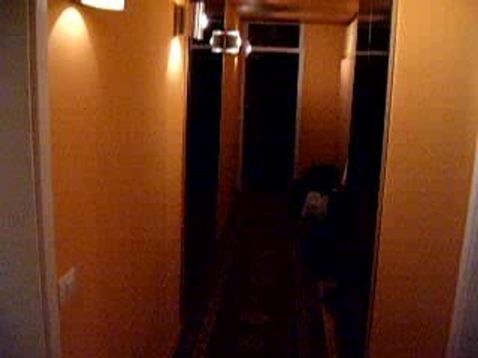SALTTU-DIRK-LUKAS PLACE