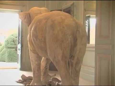 OTTO la minute d'art contemporain : Huang Yong Ping, L'Ombre Blanche