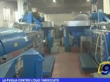 La Puglia contro l'olio taroccato