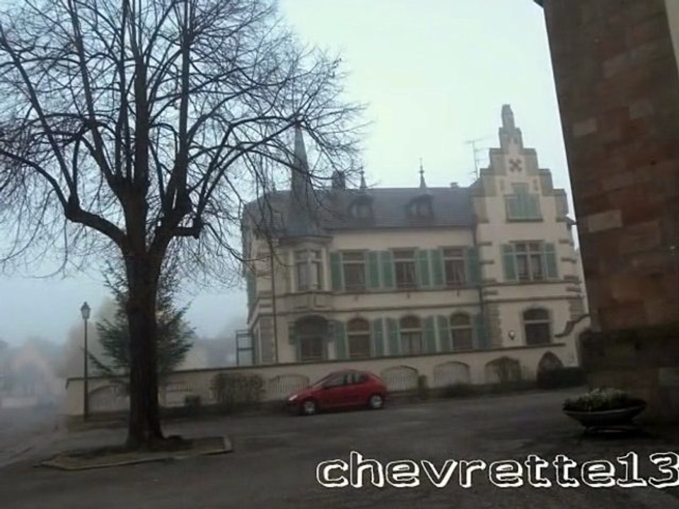 Ammerschwir 1