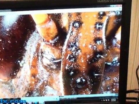 Kingston stack using DDR3 2400MHz memory modules