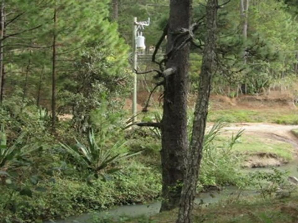 Terrenos En Honduras, Terreno de 2 Manzanas,