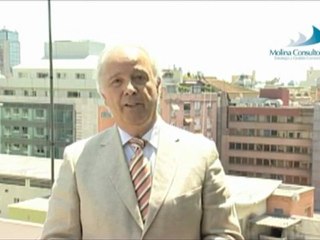 MOLINA CONSULTORES Antonio Molina Anton 1 www.molinaconsultores.com