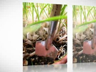 Helpful Do-It-Yourself Methodologies On Making Herb Garden