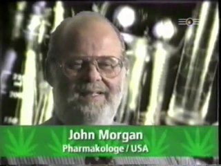 Hanf - Das Milliarden Dollar Kraut part 2v5 - (480 x 360)