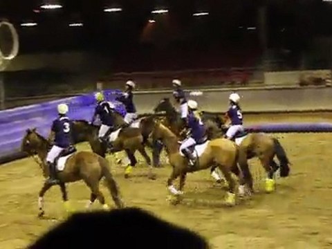 Horse Ball