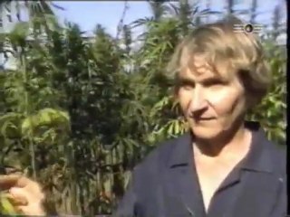 Hanf - Das Milliarden Dollar Kraut part 3v5 - (480 x 360)