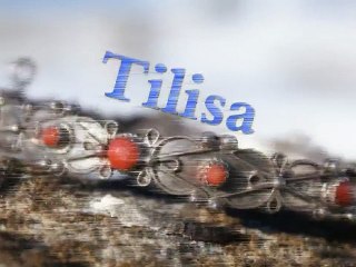 Abranis 2011 || Tilisa