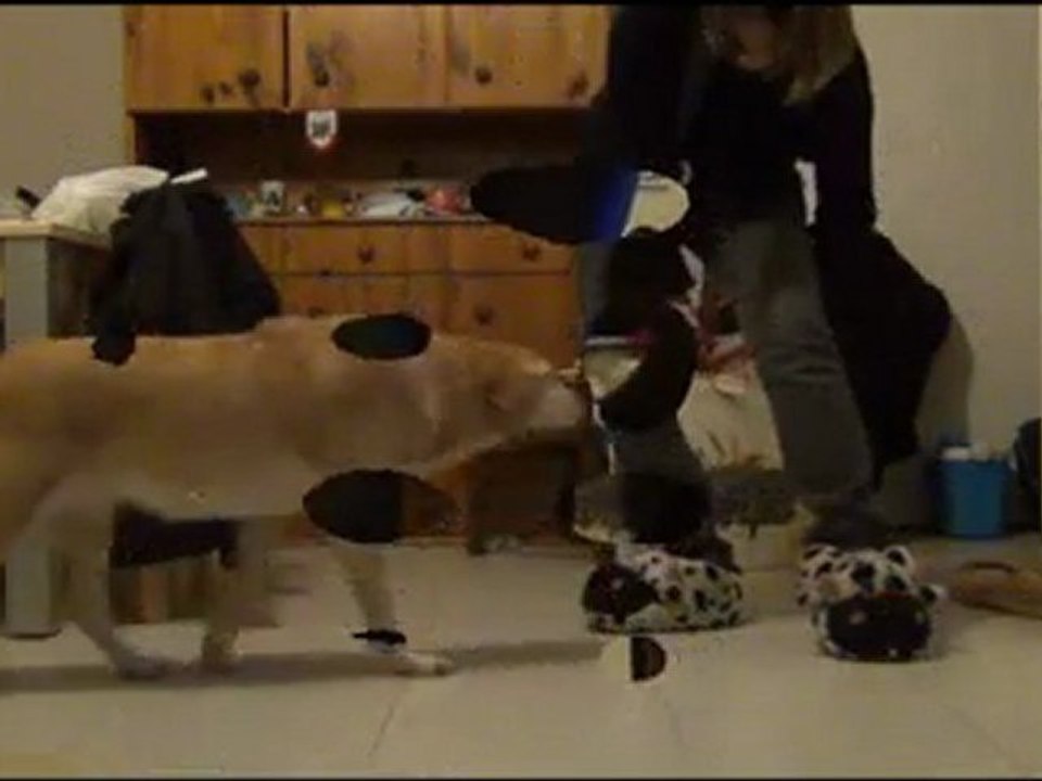 les filles Obé rythmée