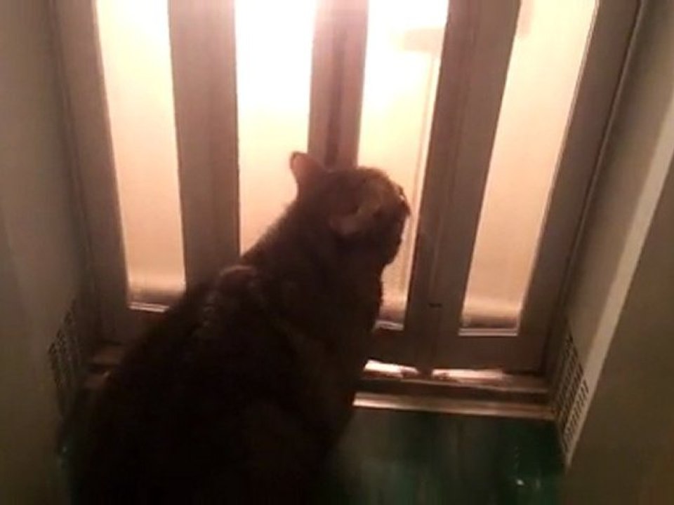 Mimine et l'ascenseur