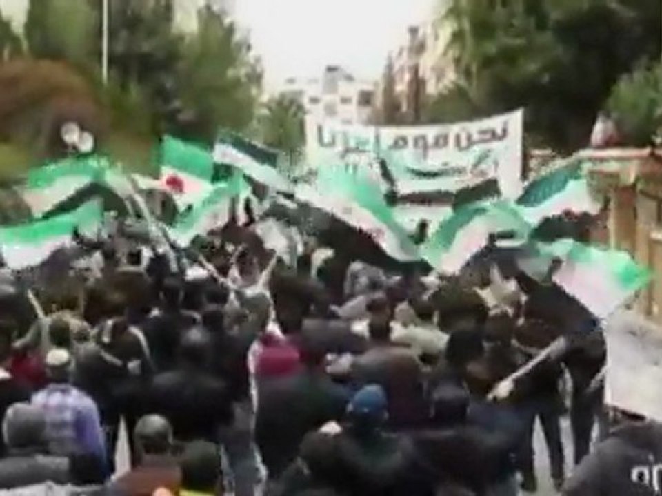 Arab monitors met by anti-regime protests