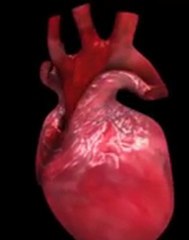 Laguna Hills Cardiologist | Dr. Michael D. Moran