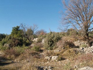 les terres agricoles du Férion.wmv