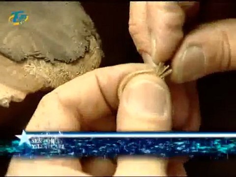 TGRT EU SEKTÖRÜN YILDIZLARI-CLASS GOLD KUYUMCULUK