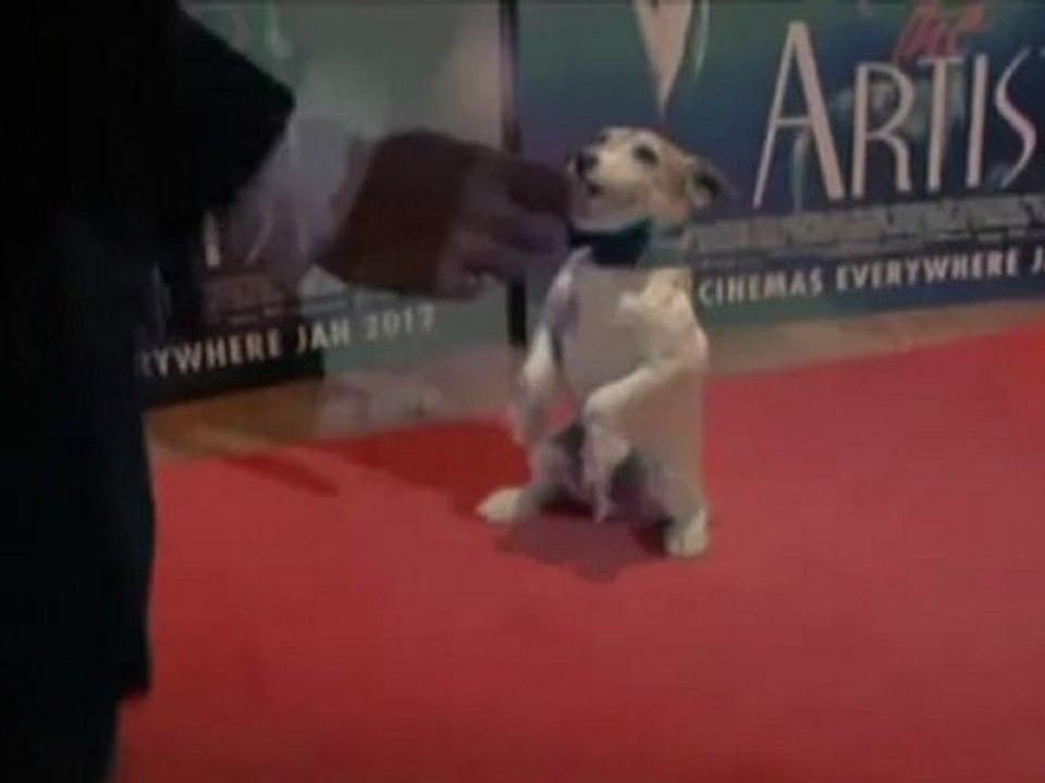 Uggie, todo un actor
