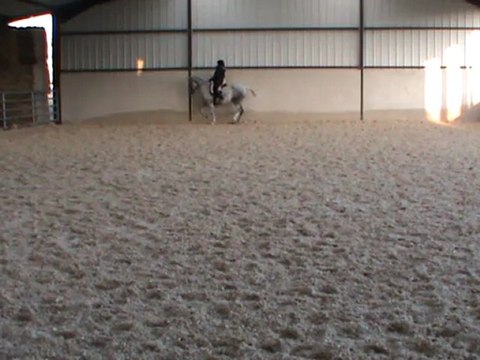 M2U01339 recherche piaffer main g 11.01.12