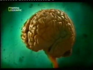 Mnemotecnia: Memoria y contexto (Andre Fenton)