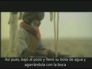 Islam el buen trato a los animales