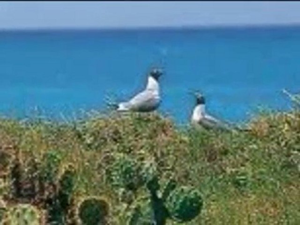 Antigua and Barbuda Hotel, Hostel, Tour, Ticket by HotelWorld.co