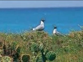 Antigua and Barbuda Hotel, Hostel, Tour, Ticket by HotelWorld.co