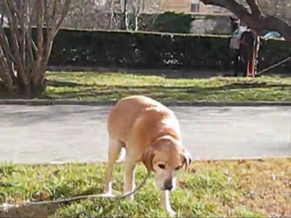 Dans un parc municipal à Apt