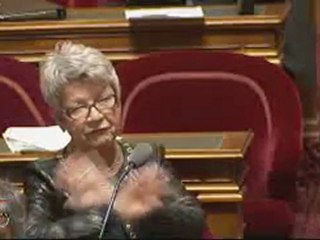 D.Gillot QAG du 12 janvier sur la circulaire Guéant