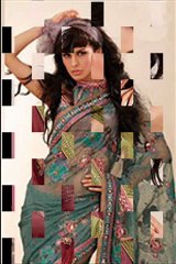 Indian saree, hot saree by (www.sareeoutlet.com)