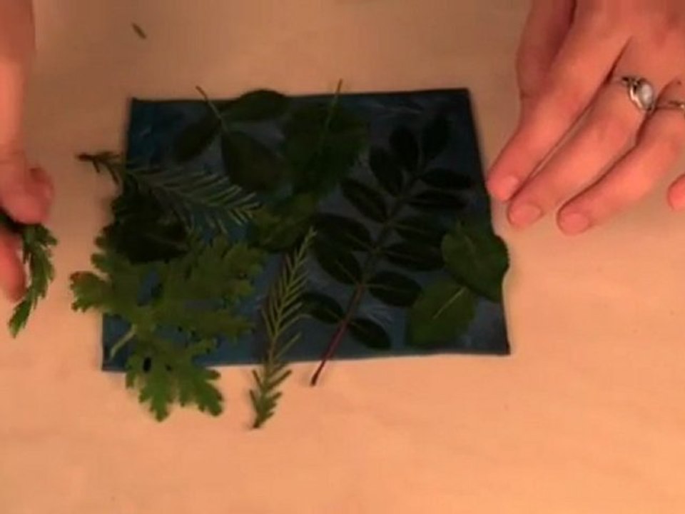 Polymer Clay TV Creating Your Own Texture Plates