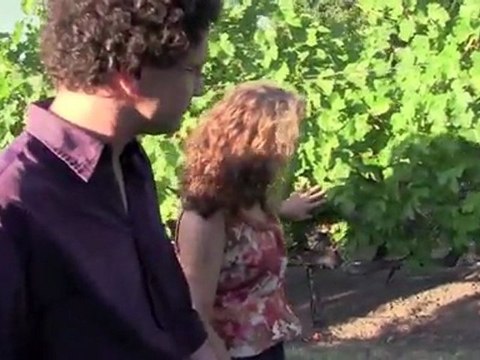 Top Merlot, family wineries, Napa Valley, shop for wine, boutique winery