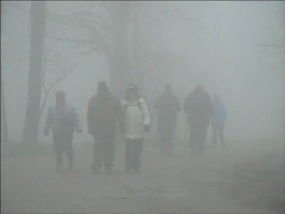 Fog sur la Garonne