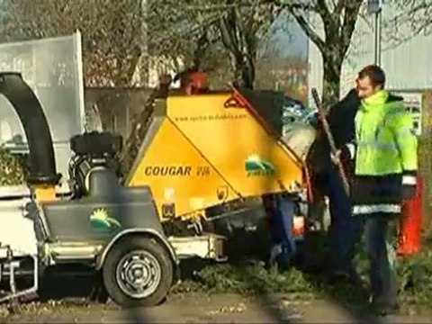 Noël : Recycler son sapin, c'est possible ! (Vendée)