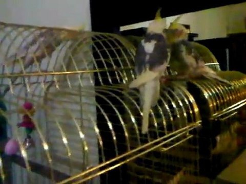 VID 00018-20120112-2317