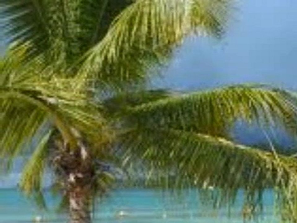 Martinique Hotel, Hostel, Tour Reservation by www.HotelWorld.co