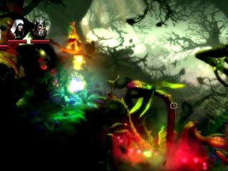 Trine 2 05/ Plantation de plantes carnivores