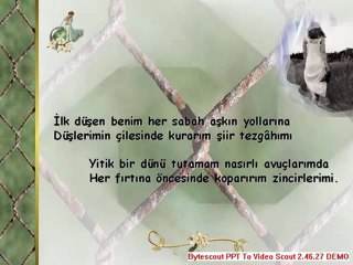 SEVGİNİN DİLİ