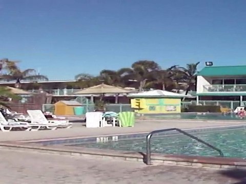 International Palms Resort Cocoa Beach - Standard Hotel Room