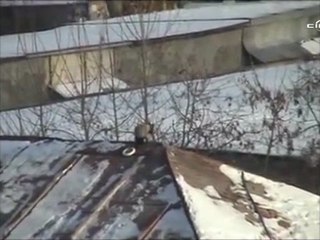 Karganin kayak keyfi