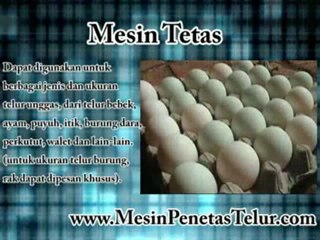 Toko Mesin Tetas