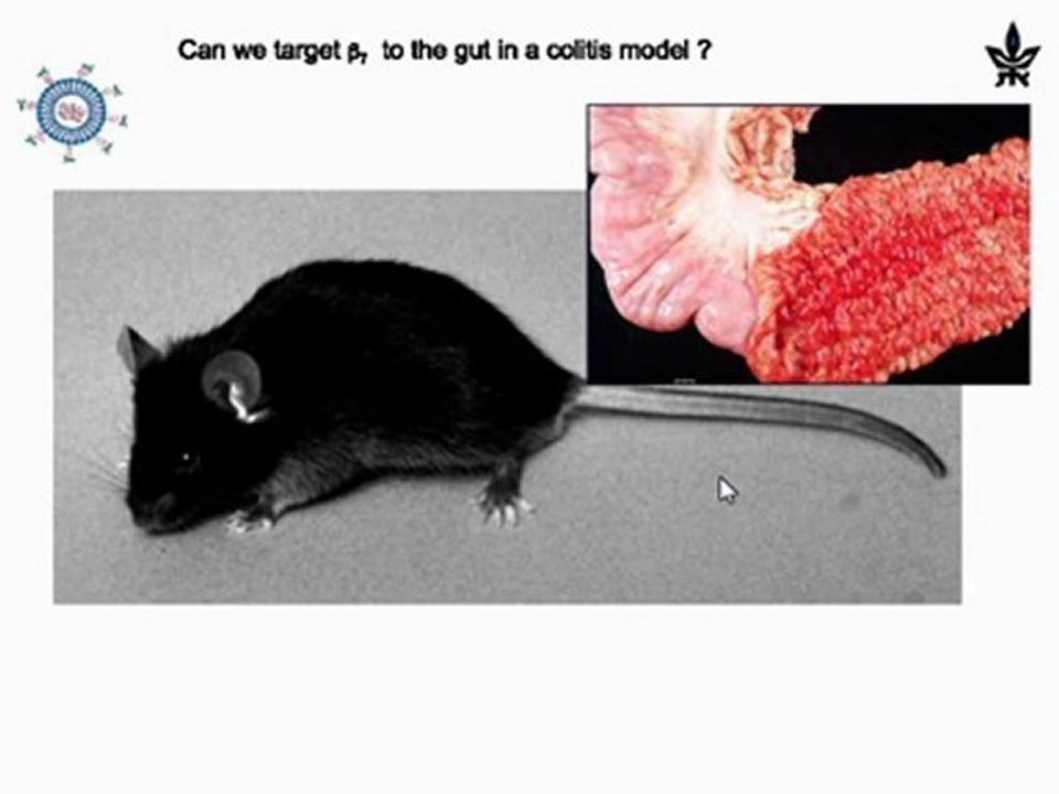 Dan Peer - New therapeutic paradigm based on nanodrugs