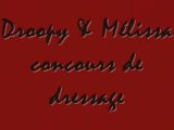 droopy&moi concours de dressages