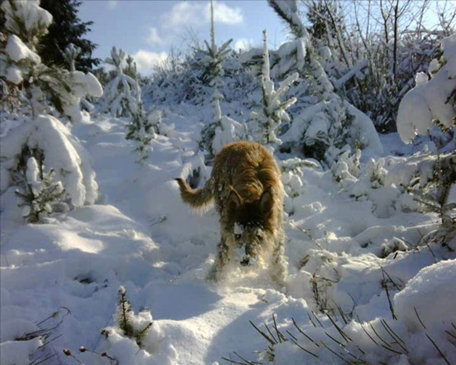 criterium des premieres neiges