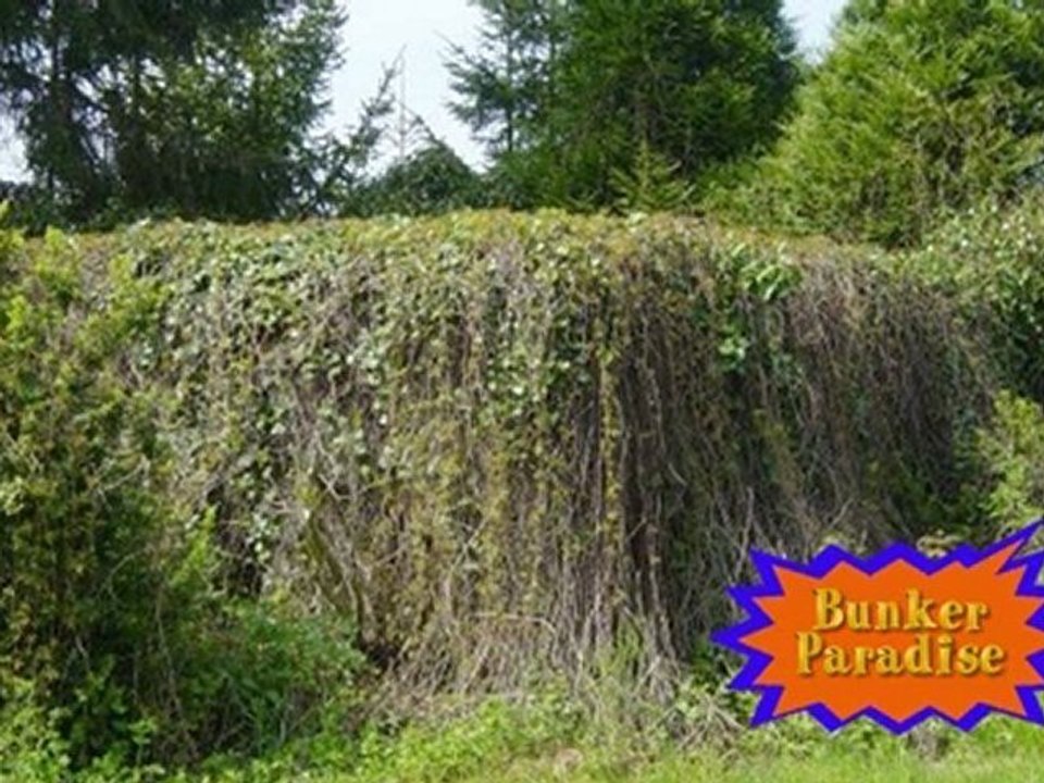 Bonne année 2012 sur TerreTv ! Avec Bunker Paradise...