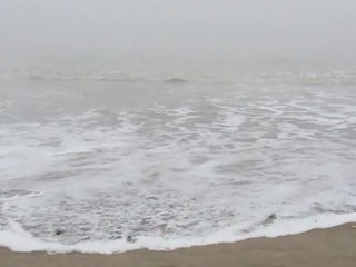 Vague brouillard à Suzac