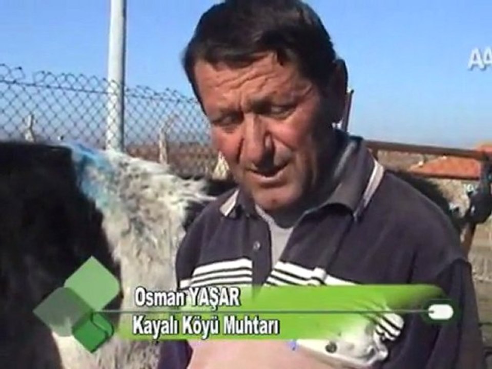 EŞMELİ KÖYLÜLERE DÜVE DAĞITILDI 10.01.2012
