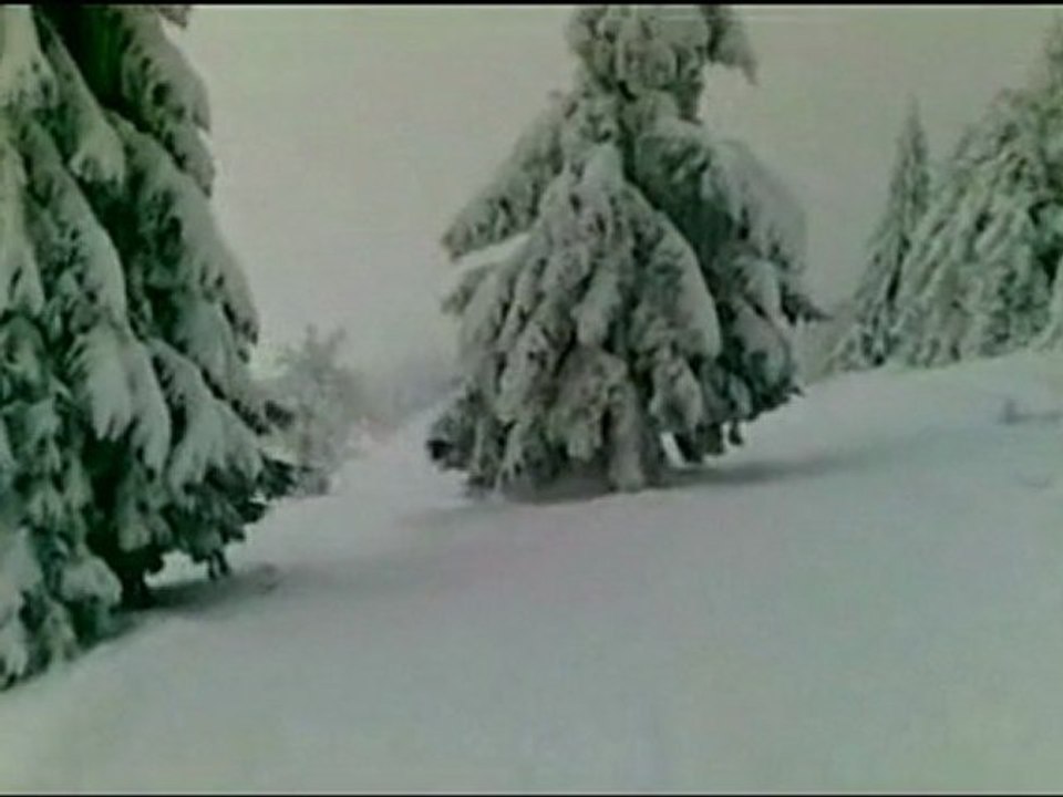Zieleniec