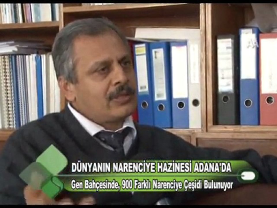 DÜNYANIN NARENCİYE HAZİNESİ ADANA’DA  12.01.2012