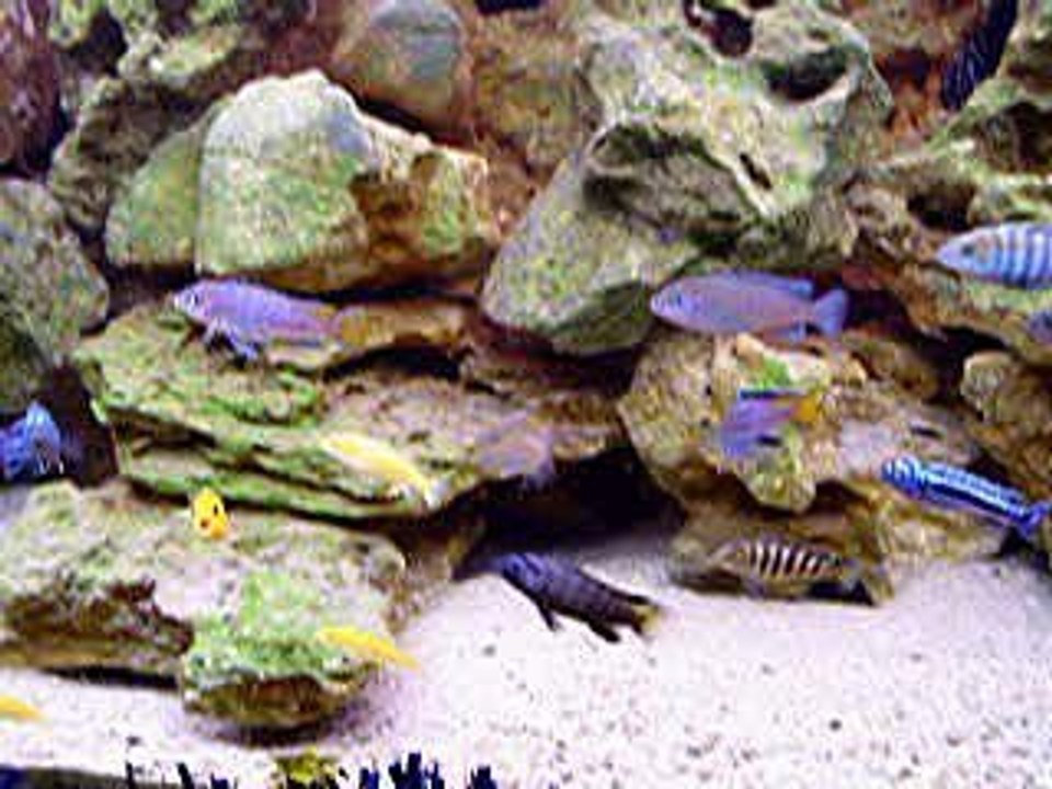 Bac M'bunas 250 litres