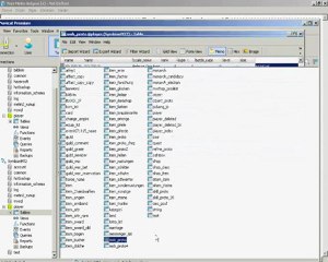 Metin2 Npc,Silah İsmi Değiştirme